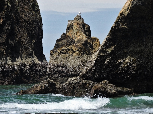 Foto Praia mar costa água