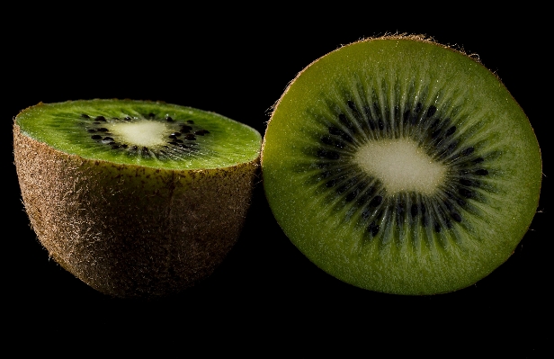 Nature bird plant fruit Photo