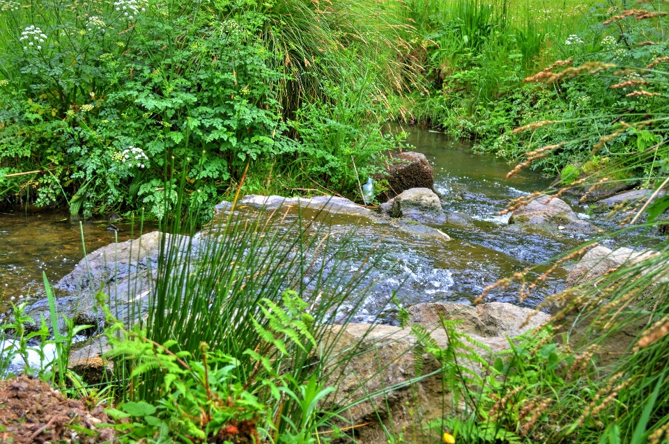 Agua naturaleza cascada arroyo
