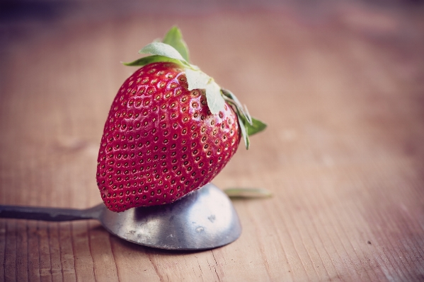 Plant fruit sweet leaf Photo