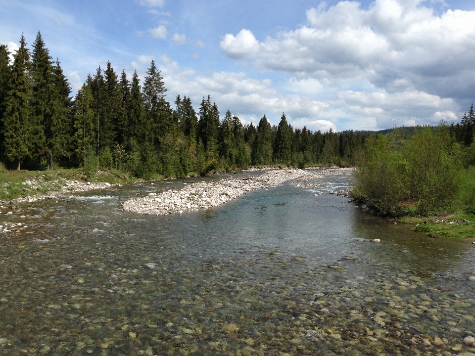 Landscape water nature wilderness