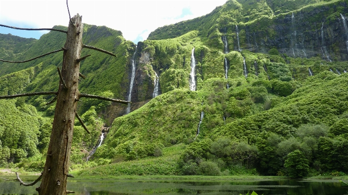 Landscape forest waterfall mountain Photo