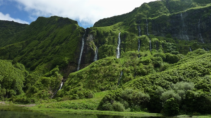 Landscape forest waterfall mountain Photo