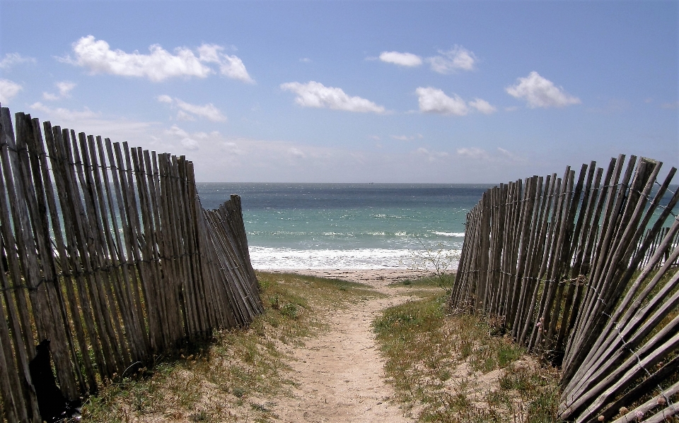 Praia mar costa areia