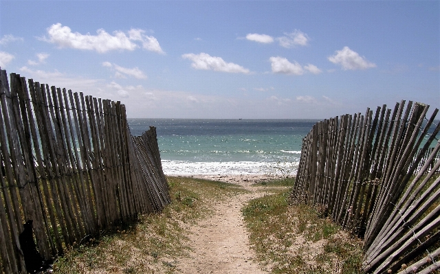 Beach sea coast sand Photo