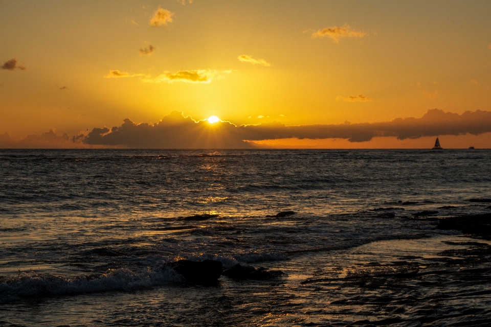 Beach sea coast water