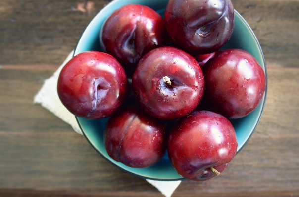 Photo Nature usine bois fruit