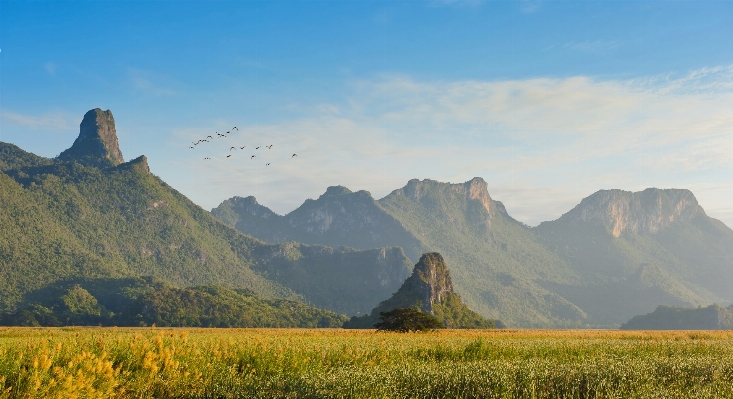 Landscape nature outdoor horizon Photo