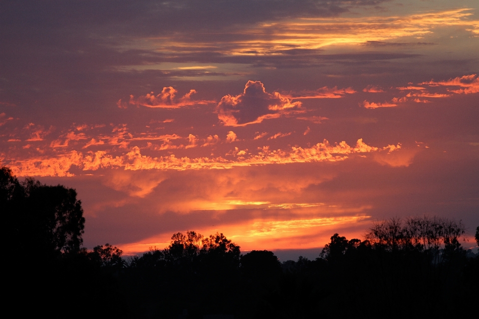 Horizont silhouette wolke himmel