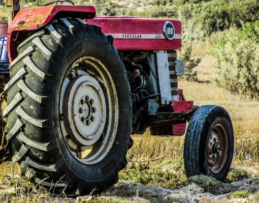 Foto Traktor bidang peternakan roda