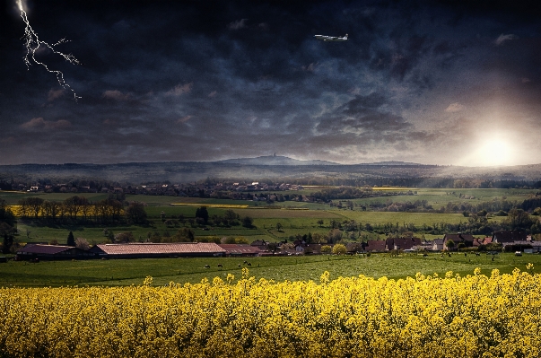 Landscape nature grass horizon Photo