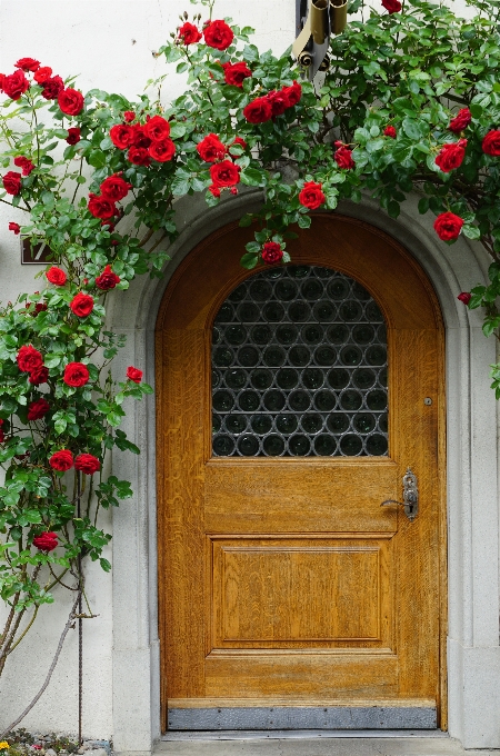 Flor janela arco fachada
