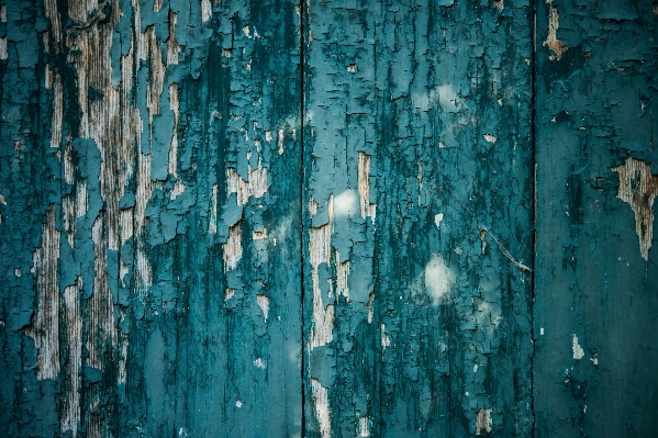 Wood texture wall ice Photo