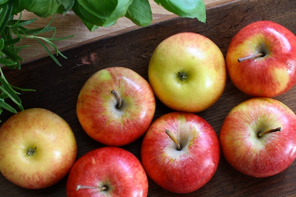 Apple usine bois fruit