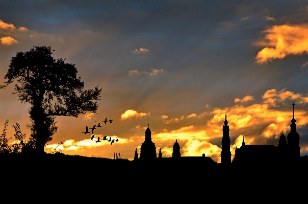 Tree horizon silhouette cloud Photo