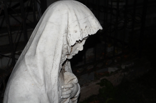 Photo Neige aile blanc monument