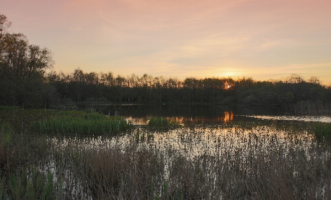 Landscape tree water nature Photo