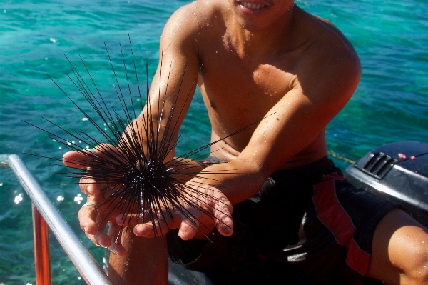 Sea coast ocean adventure Photo