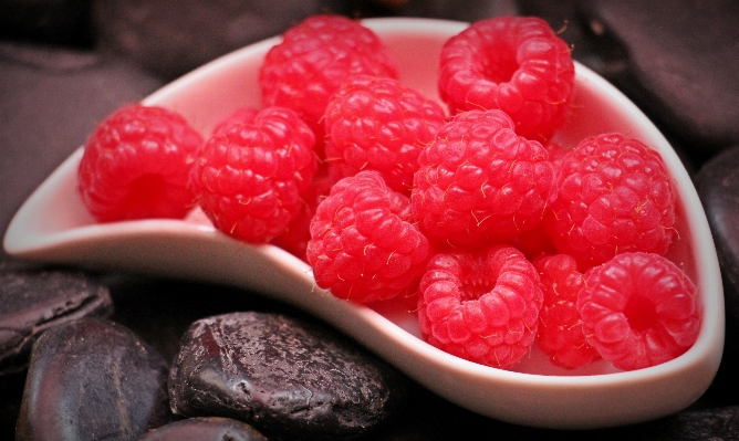 Plant raspberry fruit berry Photo