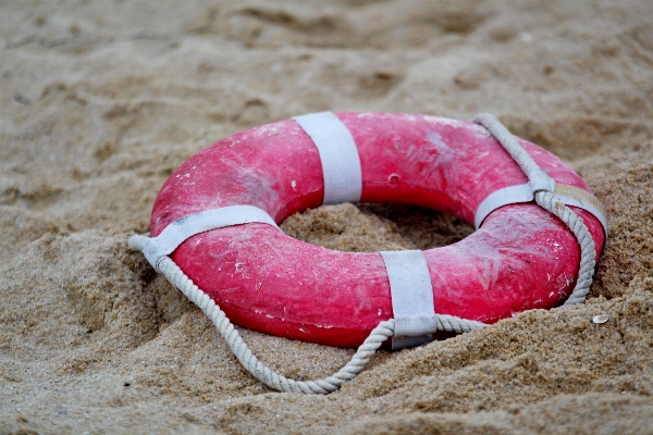 手 ビーチ 海 自然 写真