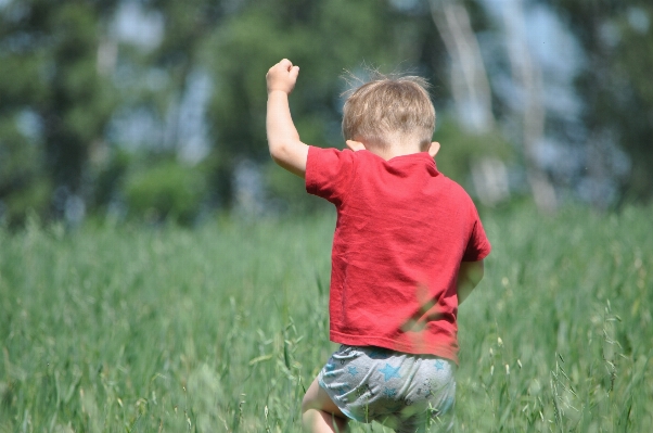 Landscape nature grass outdoor Photo