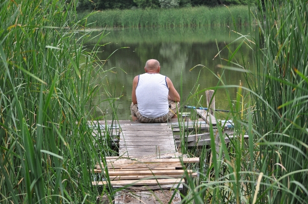 Man water nature grass Photo