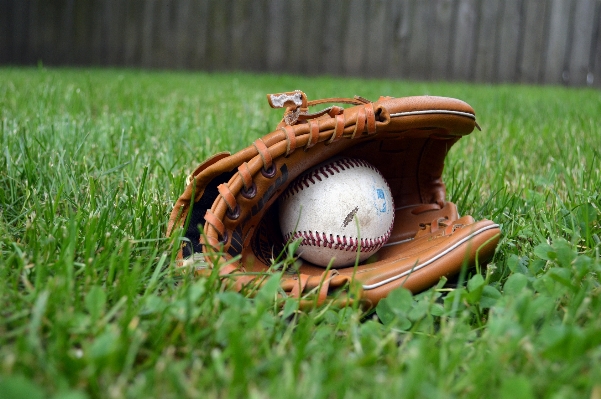 Grass baseball mitt glove Photo