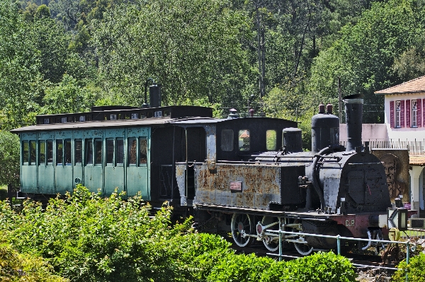 Track steam train transport Photo