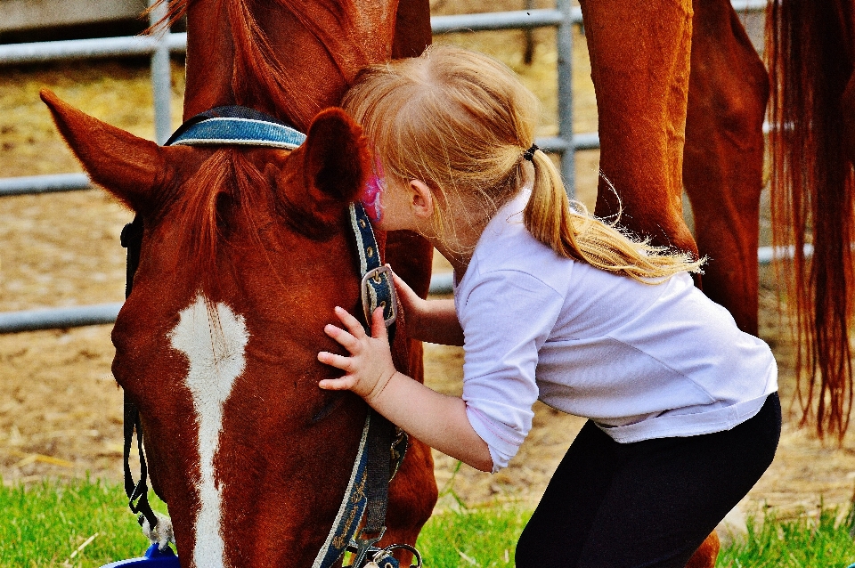 Hand love fur horse