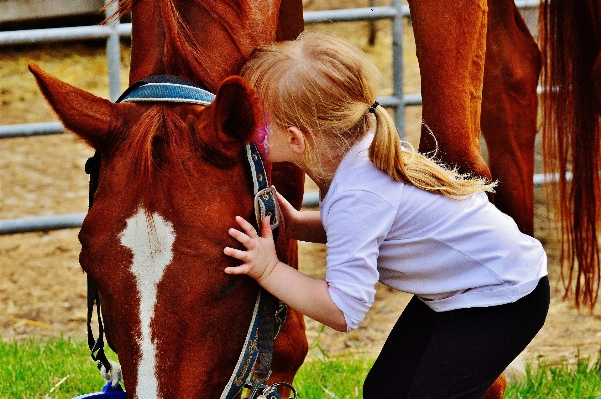 Hand love fur horse Photo