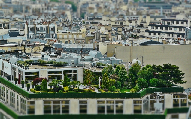 Architecture skyline town building Photo