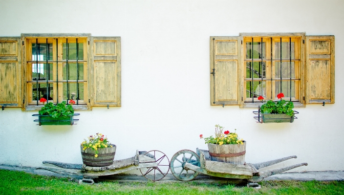 Architecture house window building Photo