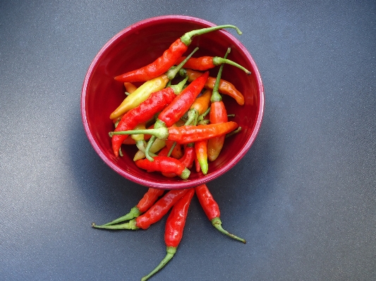 Plant dish food chili Photo