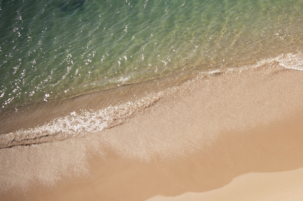 Hand beach sea coast Photo