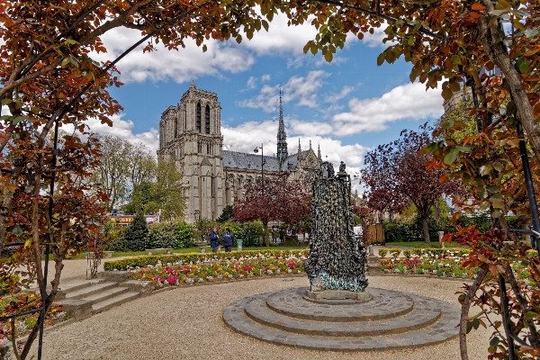 Tree palace paris france Photo