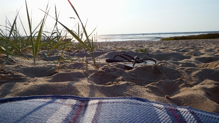 Beach sea coast nature Photo