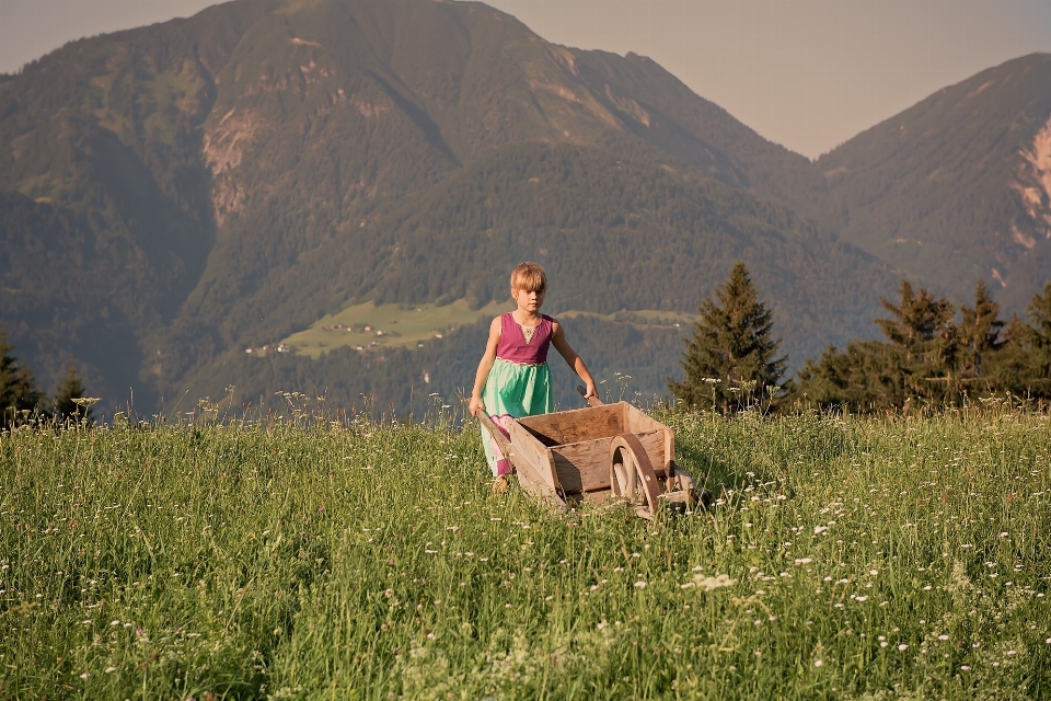 Natur gras wildnis
 gehen