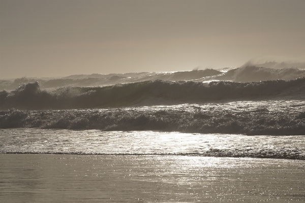 Beach landscape sea coast Photo