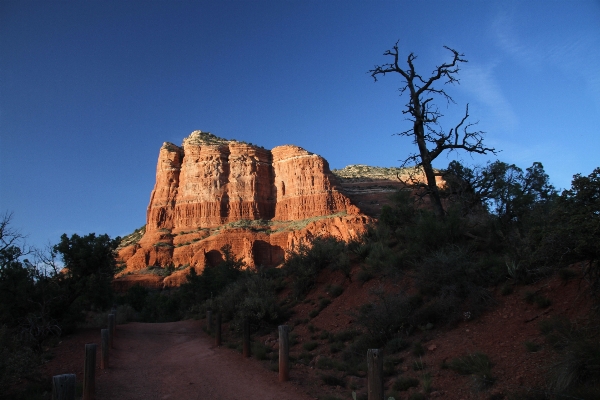 Landscape tree nature rock Photo