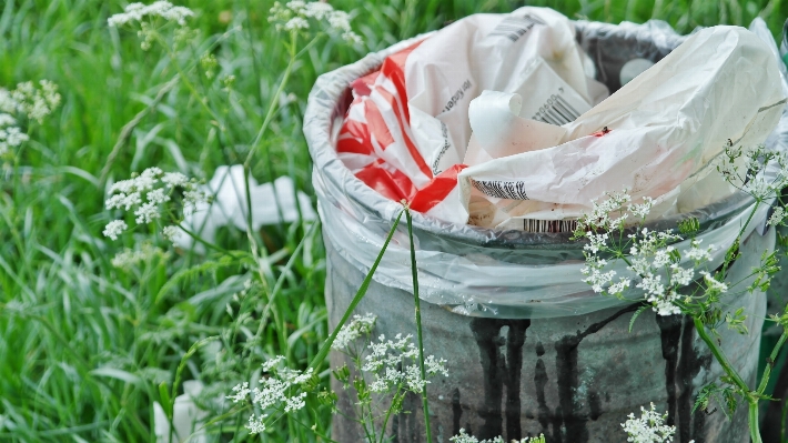 Plant plastic flower green Photo