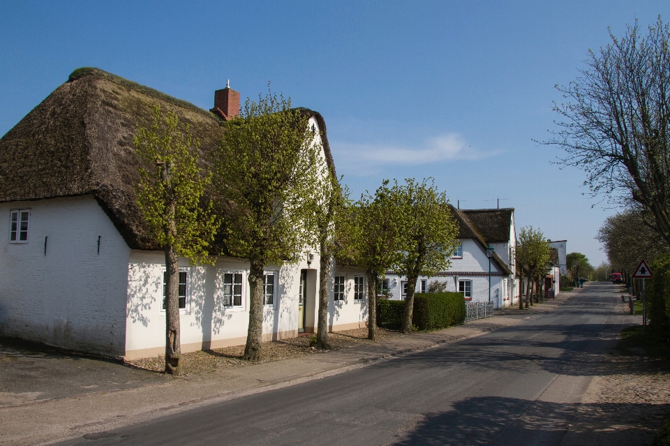 Architecture house town building