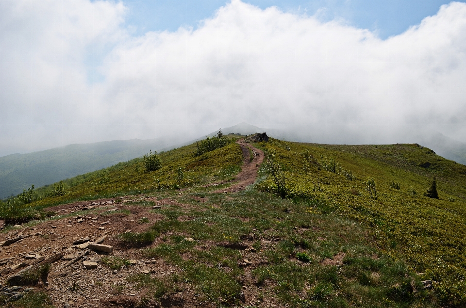 Landscape nature wilderness walking