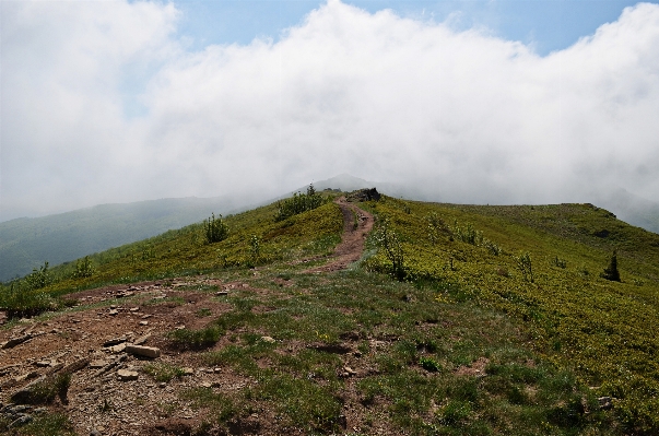 Landscape nature wilderness walking Photo