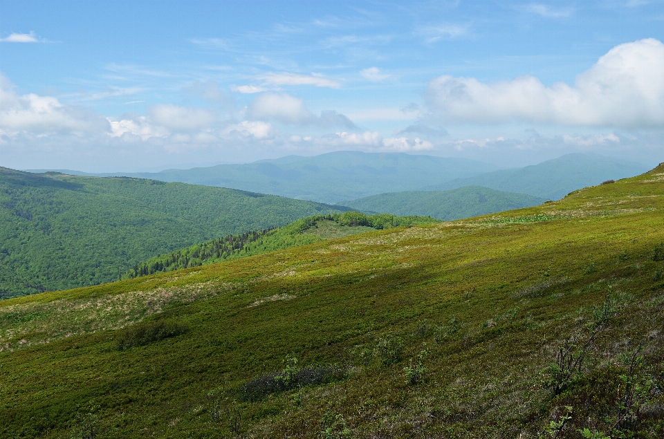 Landscape nature grass wilderness