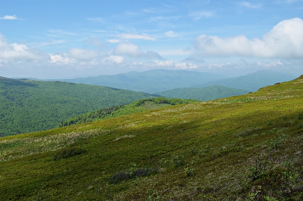 Landscape nature grass wilderness Photo