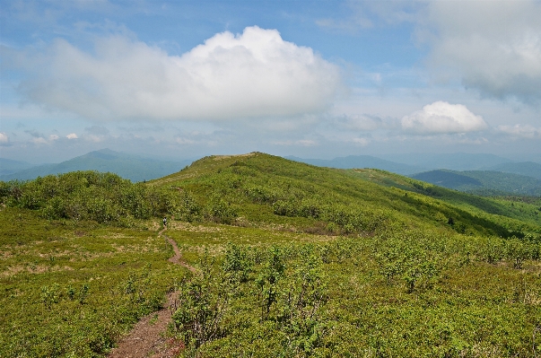 Landscape nature grass wilderness Photo