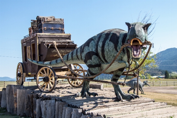 Cart animal country transport Photo