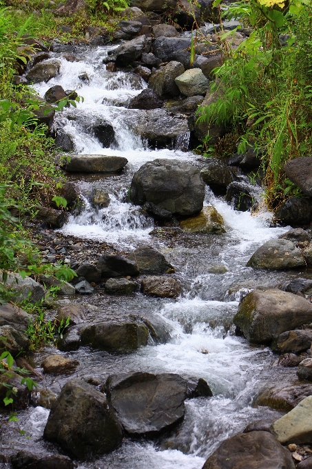 Water nature forest rock