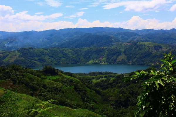 Foto Lanskap air alam hutan