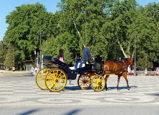 Wagon cart retro cab Photo